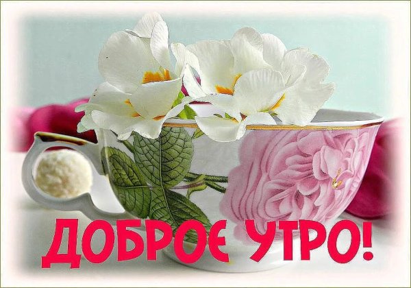 Пожелания доброго утра