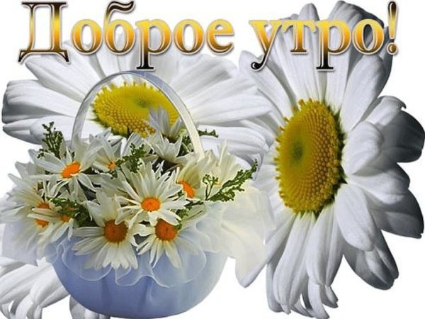 Пожелания с добрым у Ром