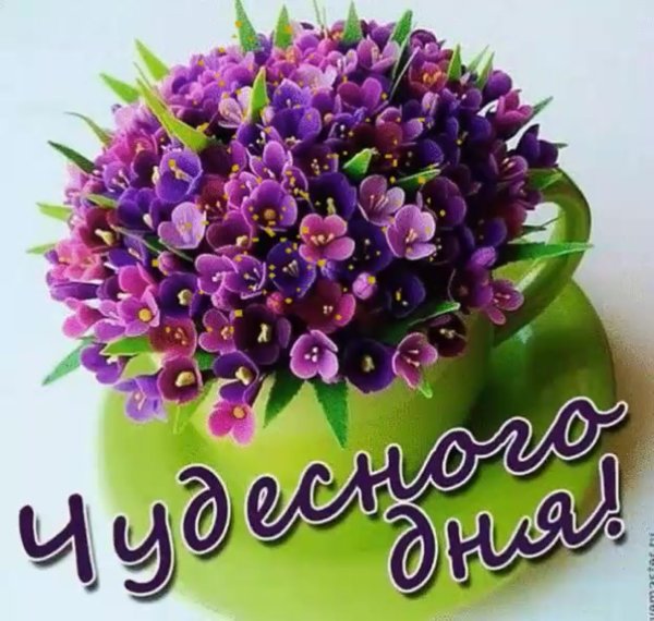 Поздравление с добрым утром с розами