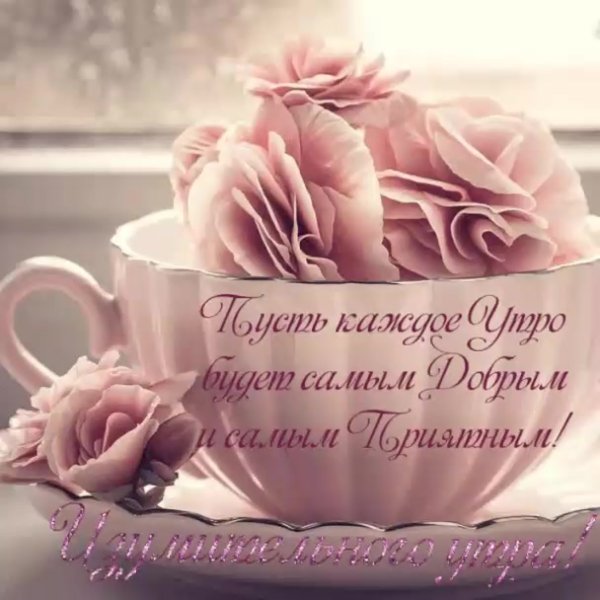 Открытки с пожеланиями доброго утра и хорошего дня