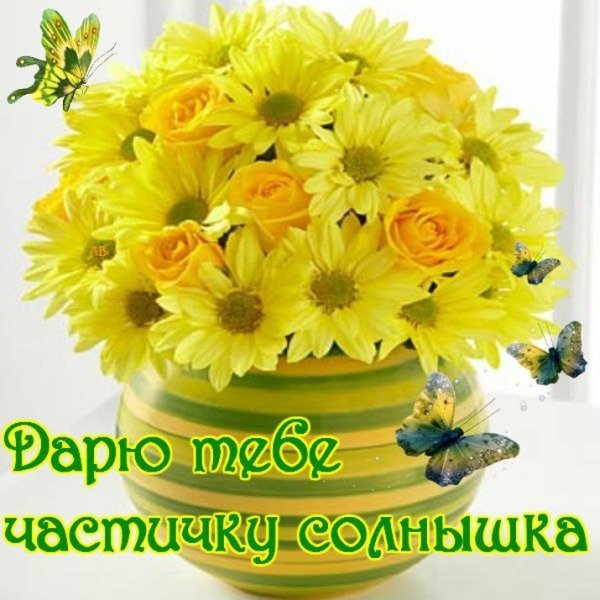 Прекрасного дня и отличного настроения