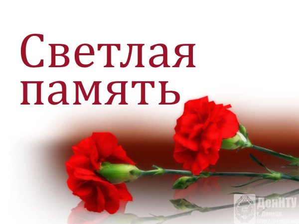 Светлая память герою
