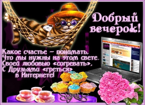 Смешные поздравления доброго вечера