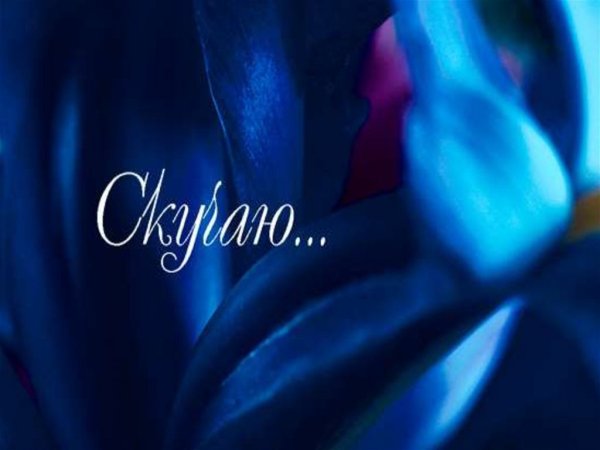 Я скучаю по тебе картинки для мужчины