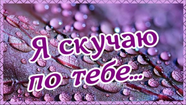 Я соскучилась по тебе