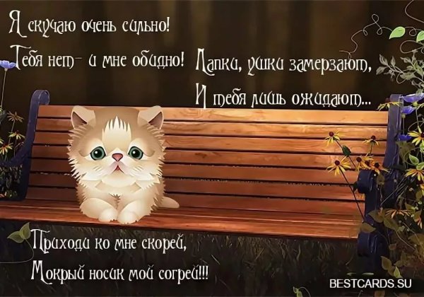 Я очень скучаю по тебе