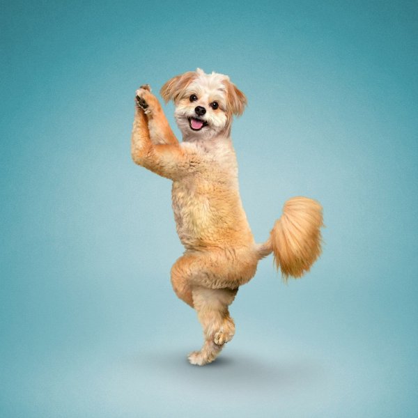 Рисунки связанные с йогой