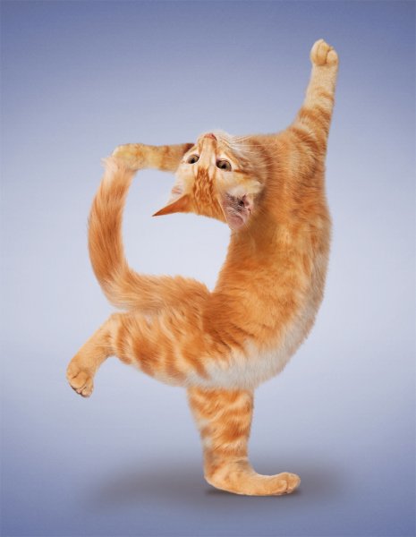 Екатерина Буйда утренний комплекс