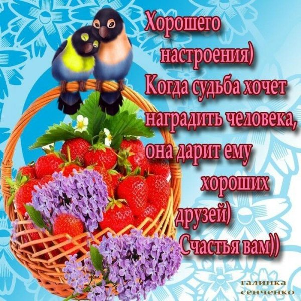 Добрые пожелания