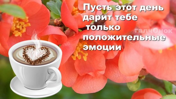 Хорошего дня и здоровья