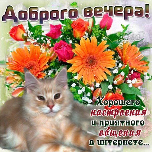 Приятного вечера