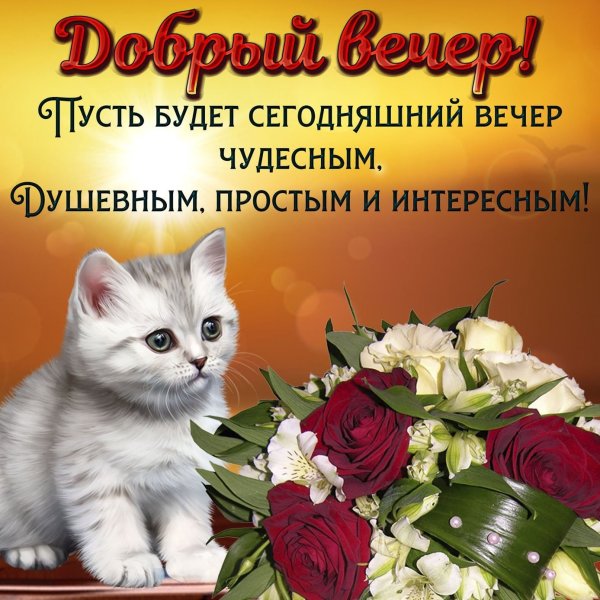 Доброго вечера и прекрасного настроения