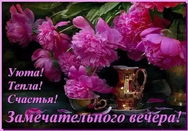 Красивые поздравления с добрым вечером