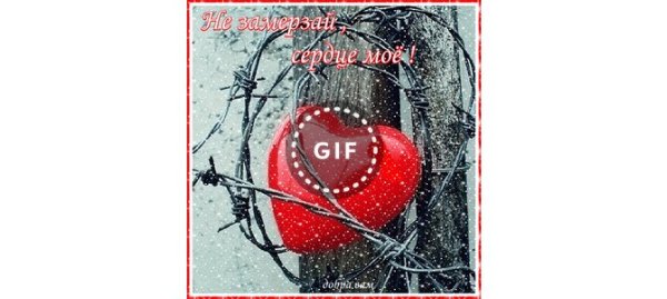 Открытки не замерзни