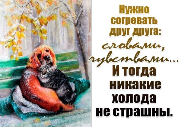 Берегите тех кто рядом цените тех