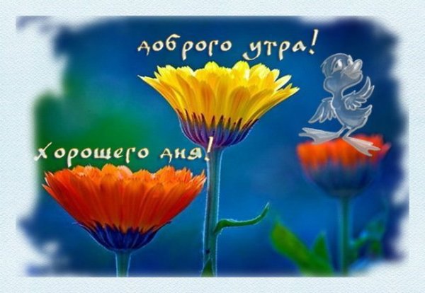 С добрым утром