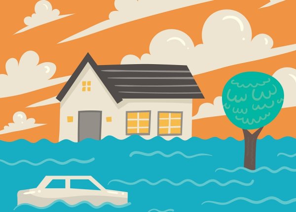 Пазл наводнение