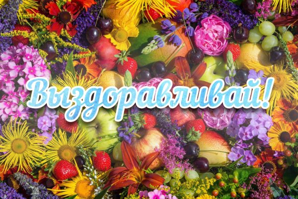 Выздоравливай картинки