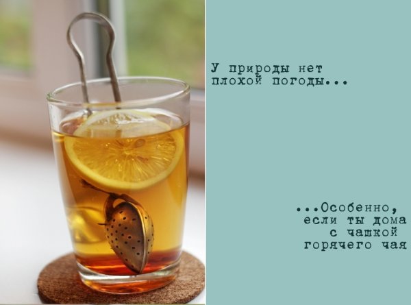 Доброго утра у природы нет плохой