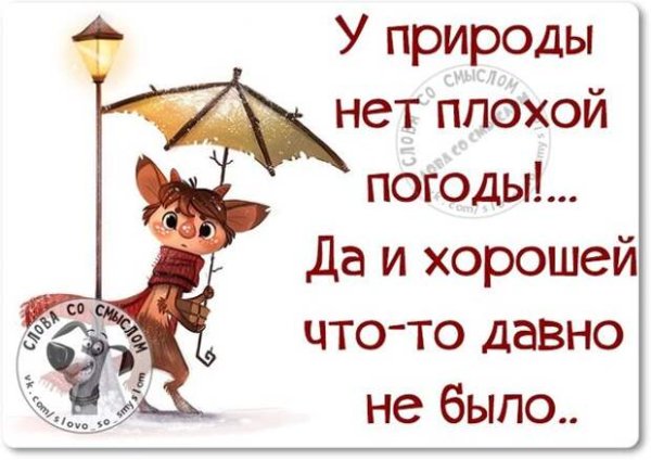 Доброго дня несмотря на погоду