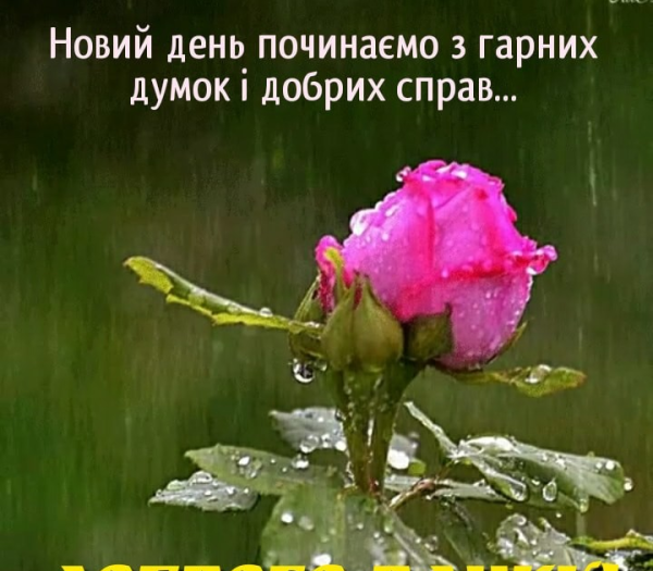 Доброго утра у природы нет плохой