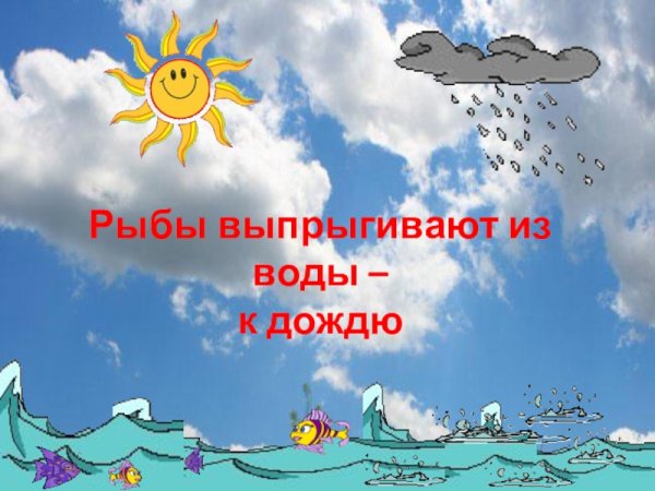 У природы нет плохой погоды доброе утро