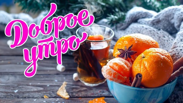 Доброе утро мандарины