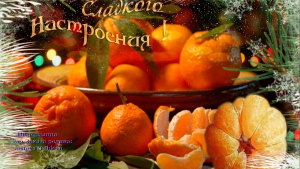 Мандариновое настроение надпись