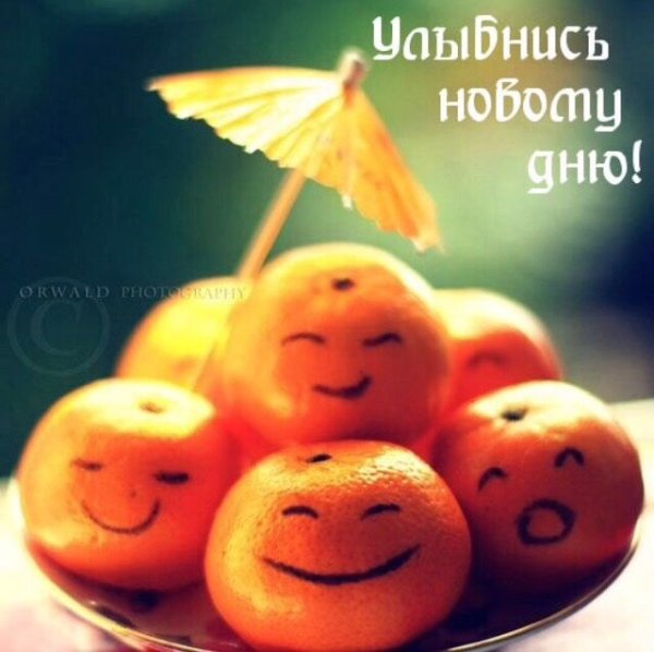 Мандарины пошли в ход значит скоро новый год