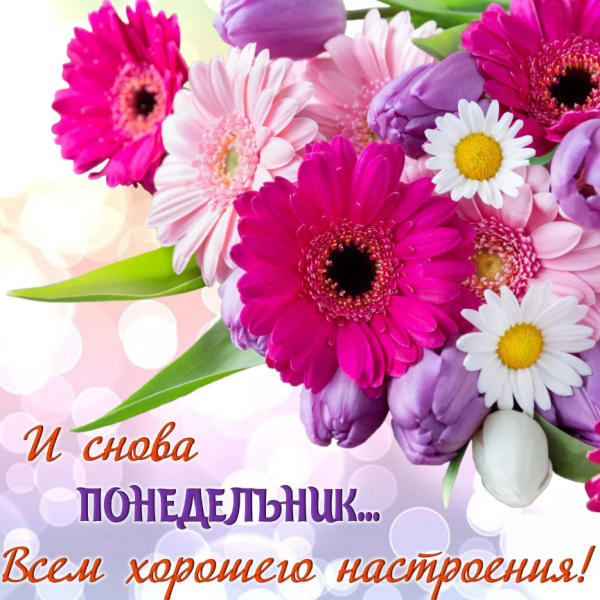 Доброго понедельника