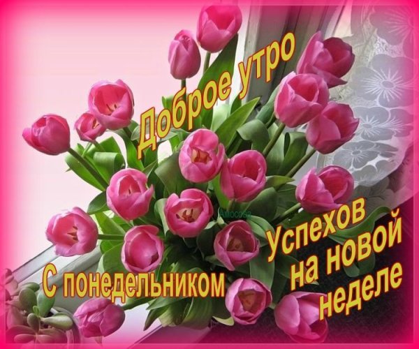 Доброе Весеннее утропонедельнтка