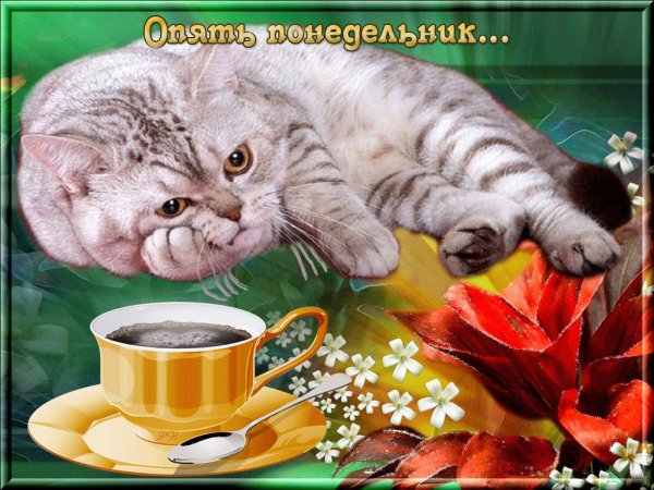 Открытки с добрым утром понедельника