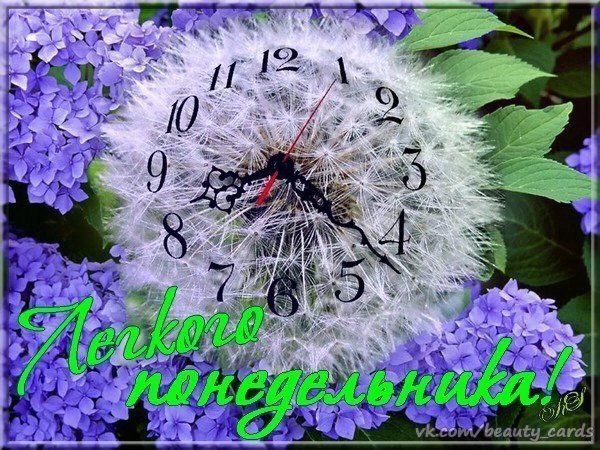 Доброе утро, легкого летнего понедельника