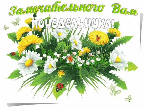 Открытки с летним понедельником