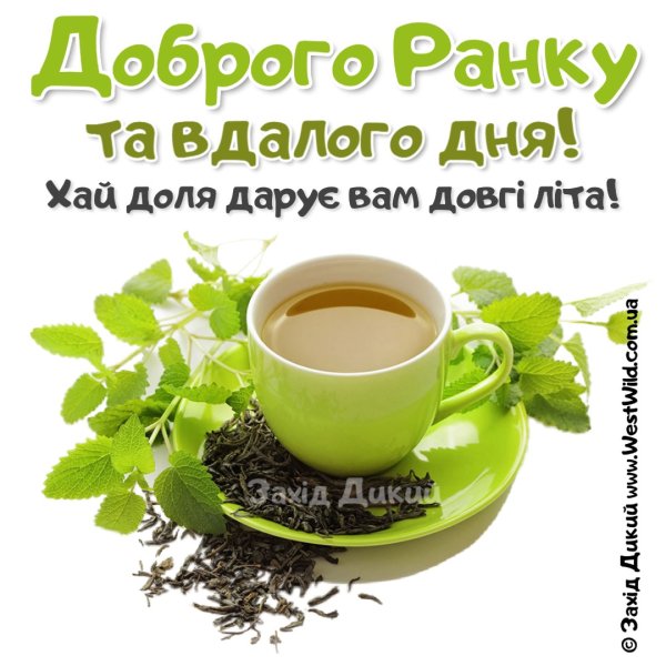 Доброго весняного ранку