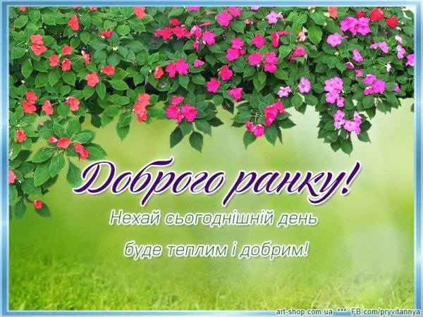 Доброго ранку