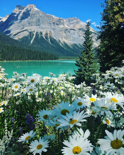 Красивая природа