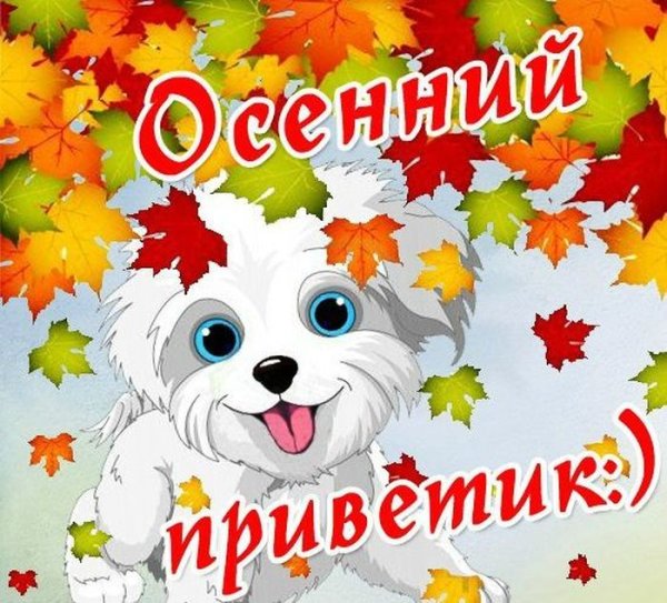 Теплый осенний приветик