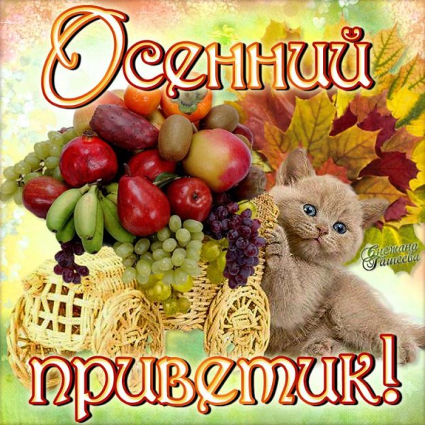 Осенний привет от меня