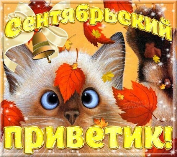Открытки осенний привет