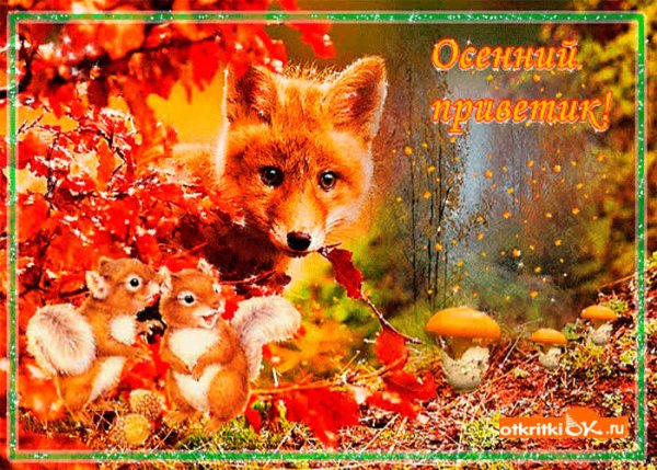 Осенние открытки