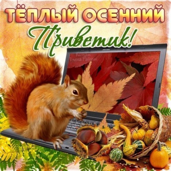 Открытки осенний привет