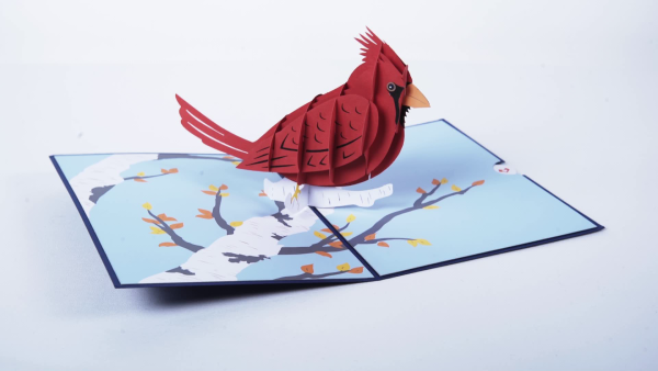 Открытка в технике «Pop-up»;