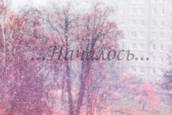 Поздравление с первым снегом