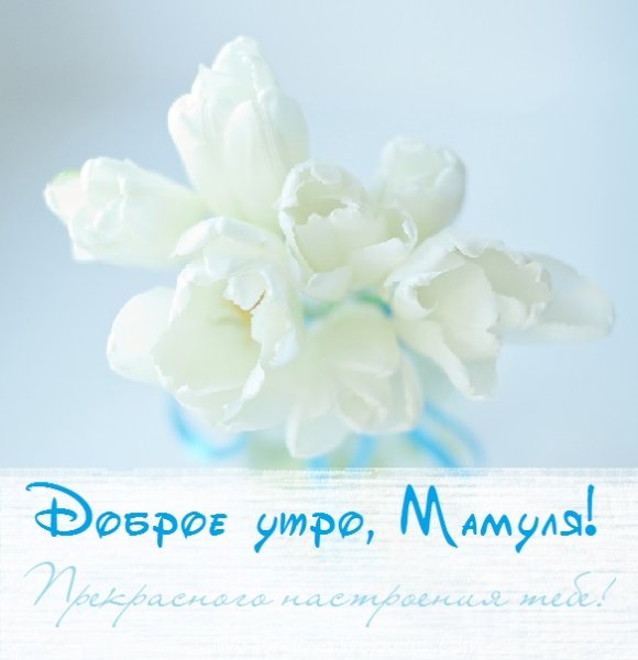 Пожелания с добрым утром маме от дочери