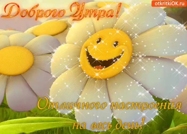 Нежные поздравления с добрым утром