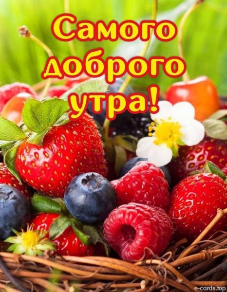 С добрым утром фрукты