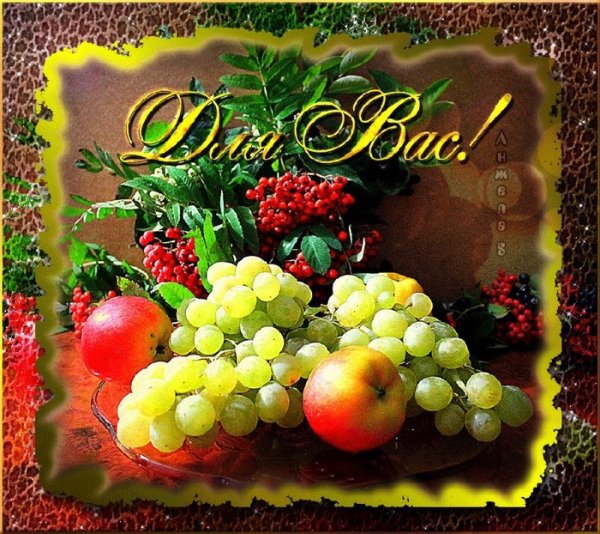 Фрукты и добрые пожелания