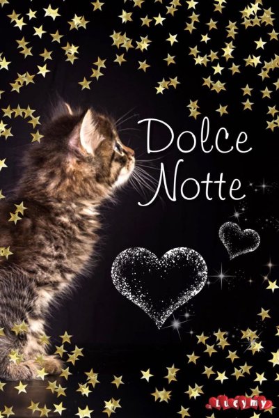 Спокойной ночи на итальянском