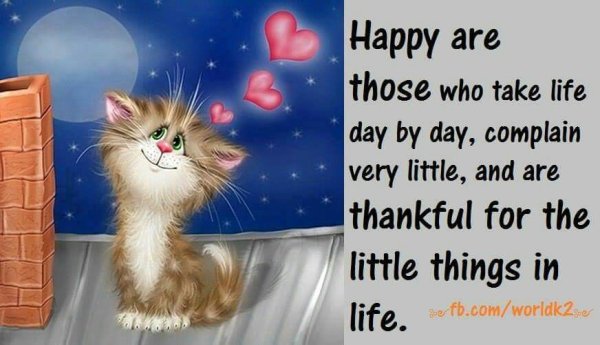 Вечер добрый друзья смешно и радостно